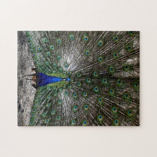 Moeilijke puzzels, geschenken voor vredeveren, puz legpuzzel (Horizontaal)