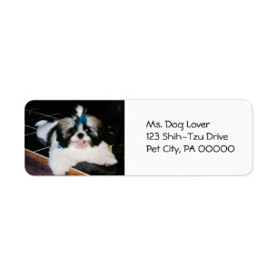 Moeilijke Shih-Tzu Puppy Retouradreslabels Etiket