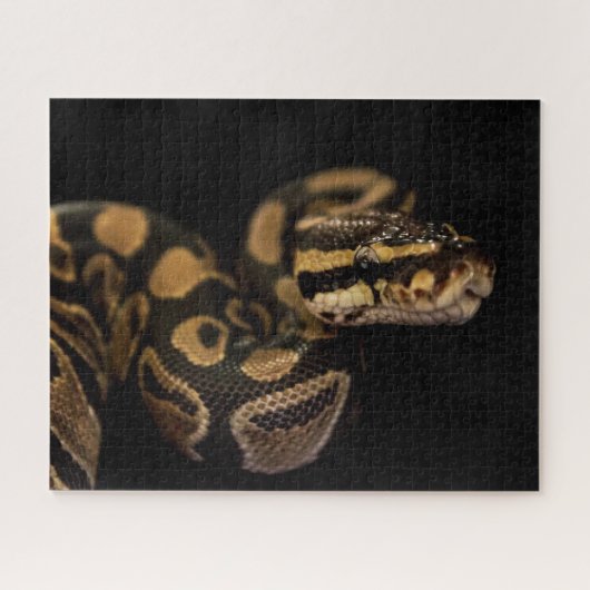 Moeilijke slang Puzzle Legpuzzel (Horizontaal)