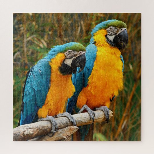 Moeilijke unieke Macaw Bird Puzzle Legpuzzel (Verticaal)