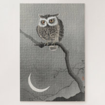Moeilijke Vintage Lange Ooruil Kunst 1000 stukjes