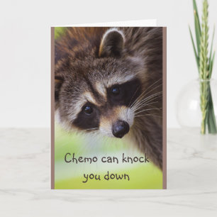 Moeilijkheid Chemo kan je in Raccoon storten Kaart