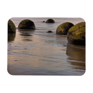 Moeraki Boulder Keien op Strand Magneet