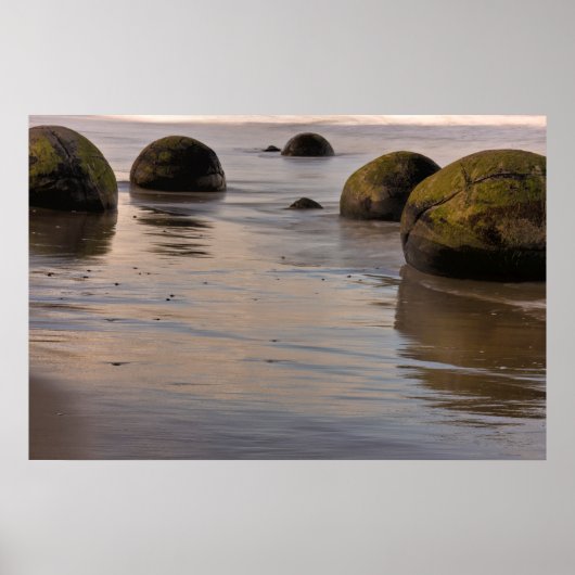 Moeraki Boulder Keien op Strand Poster (Voorkant)