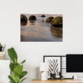 Moeraki Boulder Keien op Strand Poster (Thuiskantoor)