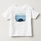 Moeraki Boulders Kinder Shirts (Voorkant)