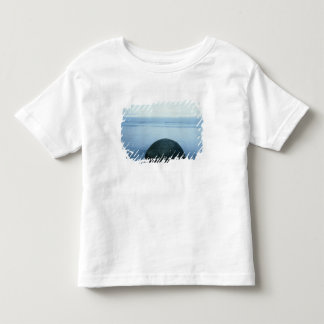 Moeraki Boulders Kinder Shirts