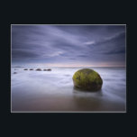 Moeraki Boulders Sunrise Seascape Briefkaart<br><div class="desc">Moeraki boulders sunrise</div>