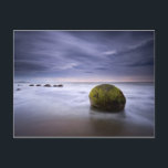 Moeraki Boulders Sunrise Seascape Briefkaart<br><div class="desc">Moeraki boulders sunrise</div>