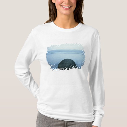 Moeraki Boulders T-shirt (Voorkant)