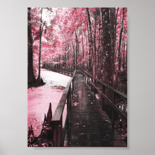 moeras droambe poster