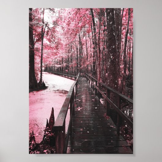 moeras droambe poster (Voorkant)