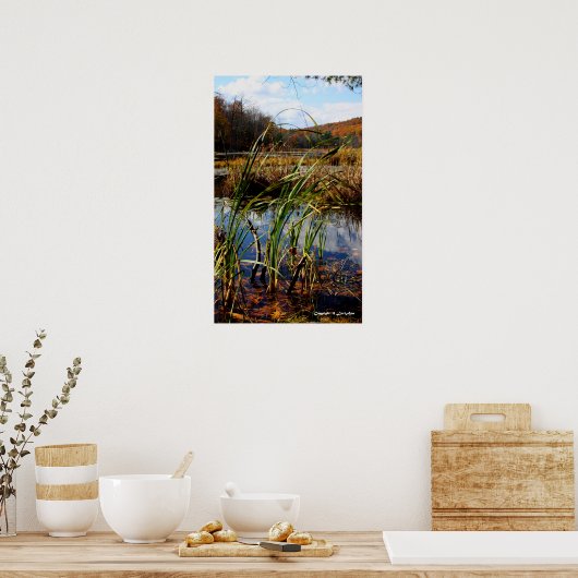 Moeras Grass Poster (Keuken)