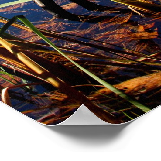 Moeras Grass Poster (Hoek)