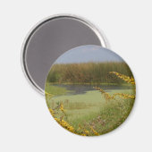 Moeras in Louisiana Magneet (Voorkant / Achterkant)