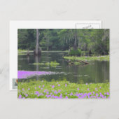 Moeras in paars briefkaart (Voorkant / Achterkant)