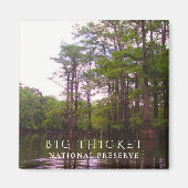 Moeras met kale cipressen, Big Thicket National Pr Magneet (Voorkant)