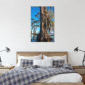 Moerascipres in een moeras canvas afdruk (Insitu (Slaapkamer))