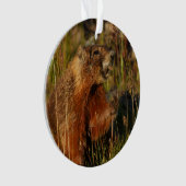 moerasgras ornament (voorkant)