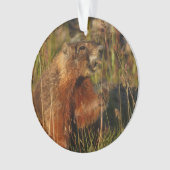 moerasgras ornament (voorkant)