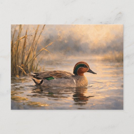 Moerasland Eend | Kust Natuur Kunst | Postkaart (Voorkant)