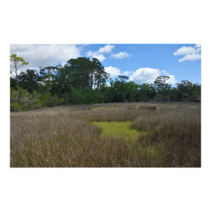 moerasland Florida Foto Afdruk