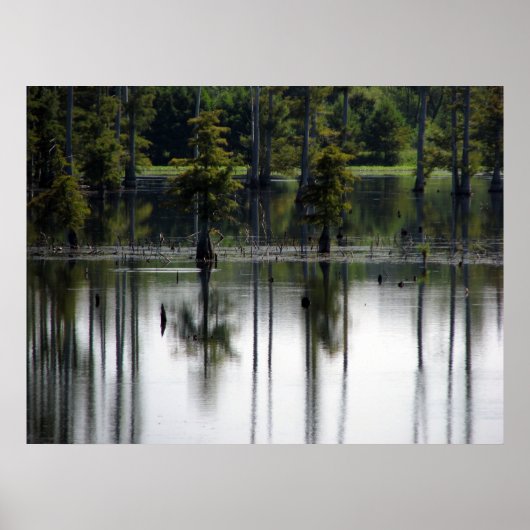 Moerasland Poster (Voorkant)