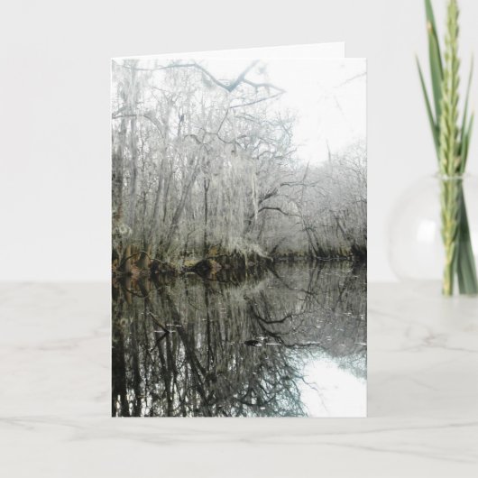 Moeraslandschap Wenskaart-Blank Kaart (Voorkant)