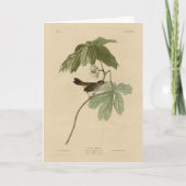 Moerasmest uit de Amerikaanse vogels van Audubon Kaart (Voorkant)