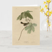 Moerasmest uit de Amerikaanse vogels van Audubon Kaart (Gele Bloem)