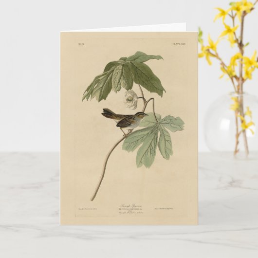 Moerasmest uit de Amerikaanse vogels van Audubon Kaart (Gele Bloem)