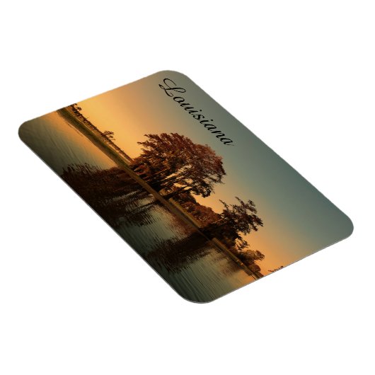 moerasmoeras magneet (Rechterzijde)