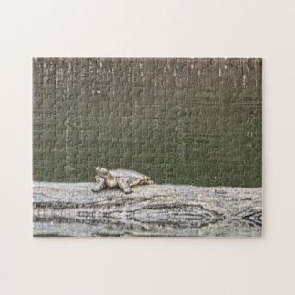 Moerasschildpad Legpuzzel