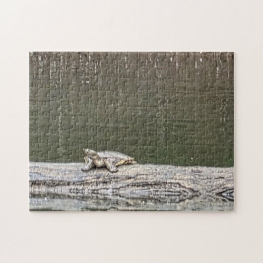 Moerasschildpad Legpuzzel (Horizontaal)