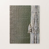 Moerasschildpad Legpuzzel (Verticaal)