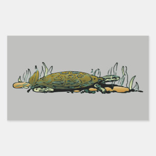 moerasschildpad stickers