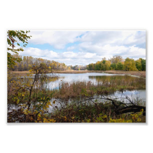 Moerassen en bossen van toevlucht in Eagan Foto Afdruk