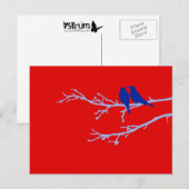 moerasvogels briefkaart (Voorkant / Achterkant)