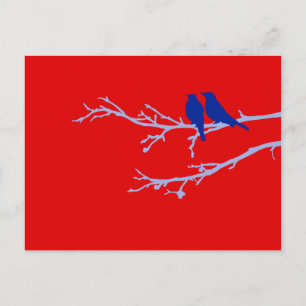 moerasvogels briefkaart