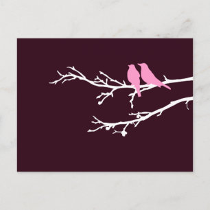 moerasvogels briefkaart