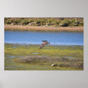 Moeraswouw Muur Kunst Drasland Natuurprint Poster