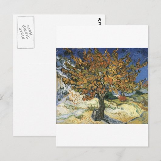 Moerbeiboom van Van Gogh Briefkaart (Voorkant / Achterkant)