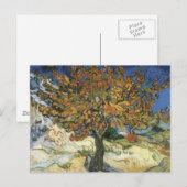 Moerbeiboom van Van Gogh Briefkaart (Voorkant / Achterkant)