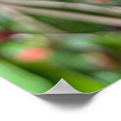 Moerbeitak Poster (Hoek)