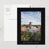 Moerijen en bloemen, Holland, verticale zwarte kaa Briefkaart (Voorkant / Achterkant)