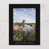 Moerijen en bloemen, Holland, verticale zwarte kaa Briefkaart (Voorkant)