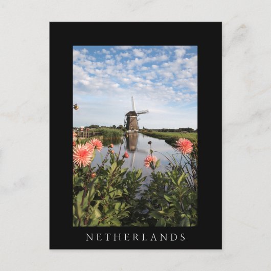 Moerijen en bloemen, Holland, verticale zwarte kaa Briefkaart (Voorkant)