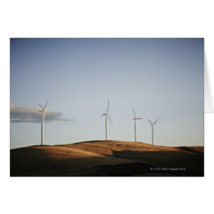 Moerijen op heuvel bij zonsondergang 2