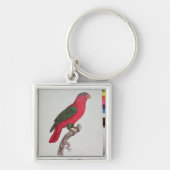Moerrot: Lory of Collared Sleutelhanger (Voorkant)
