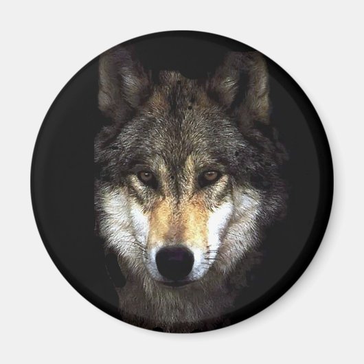 moerwolf magneet (Voorkant)